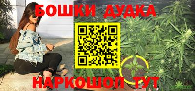 гашик Бузулук