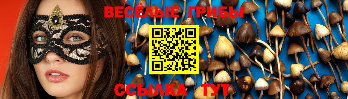 Галлюциногенные грибы прущие грибы Ялта
